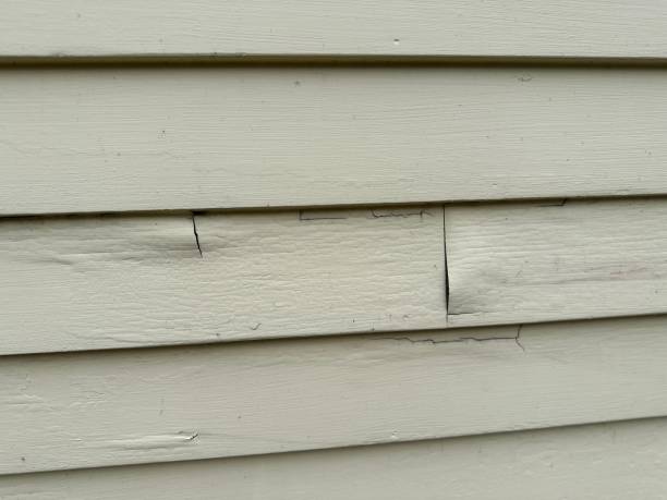 Historical Building Siding Restoration in Amory, MS